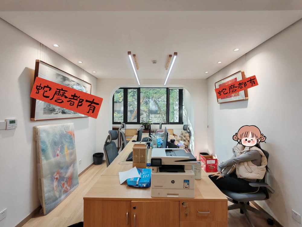 尚禹创意园徐汇 尚禹创意园 250平米 豪华装修